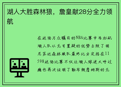湖人大胜森林狼，詹皇献28分全力领航